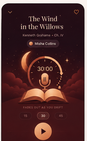 DreamReader player screen