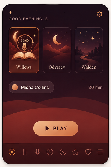 DreamReader home screen